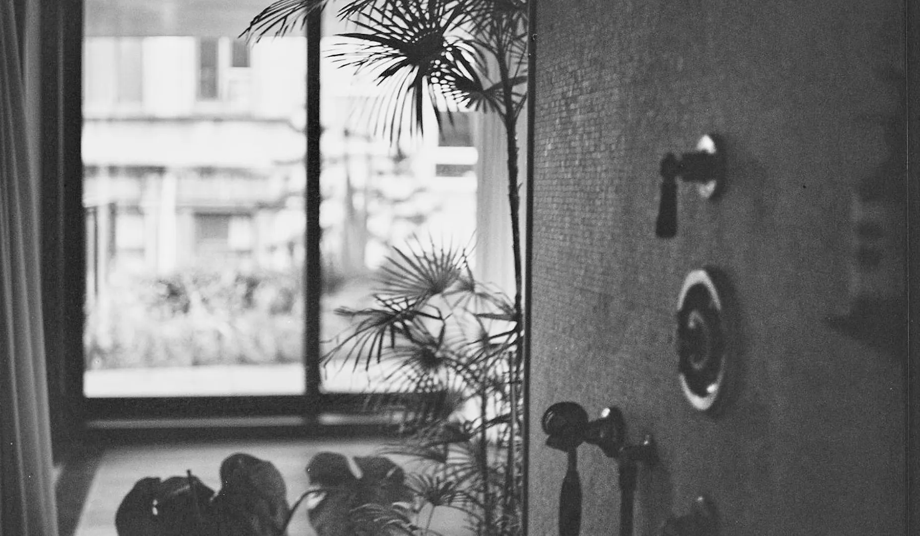 Séjour chez l'habitant Appartement Teddy Picker à Bruxelles Belgique