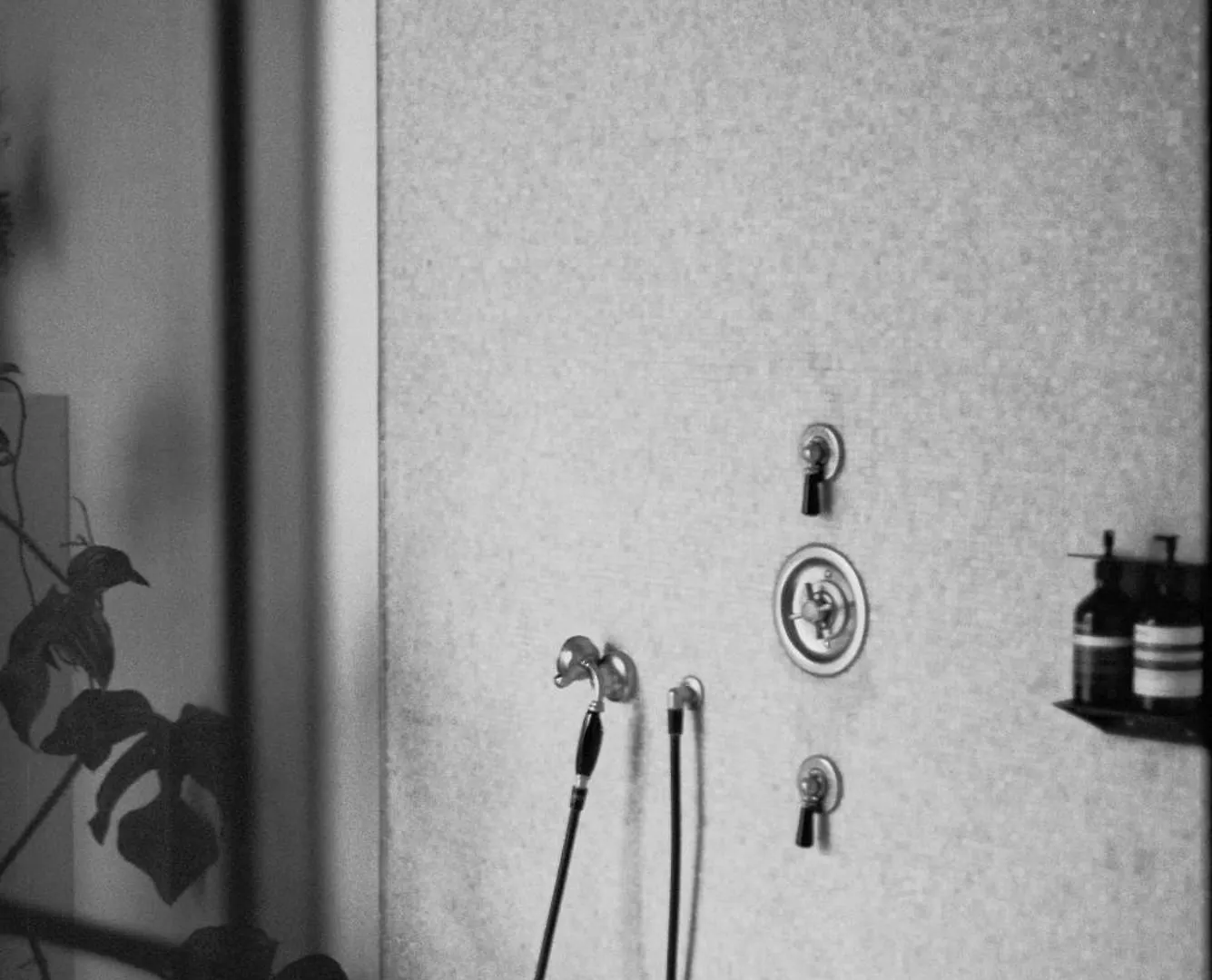 Appartement Teddy Picker à Bruxelles Séjour chez l'habitant